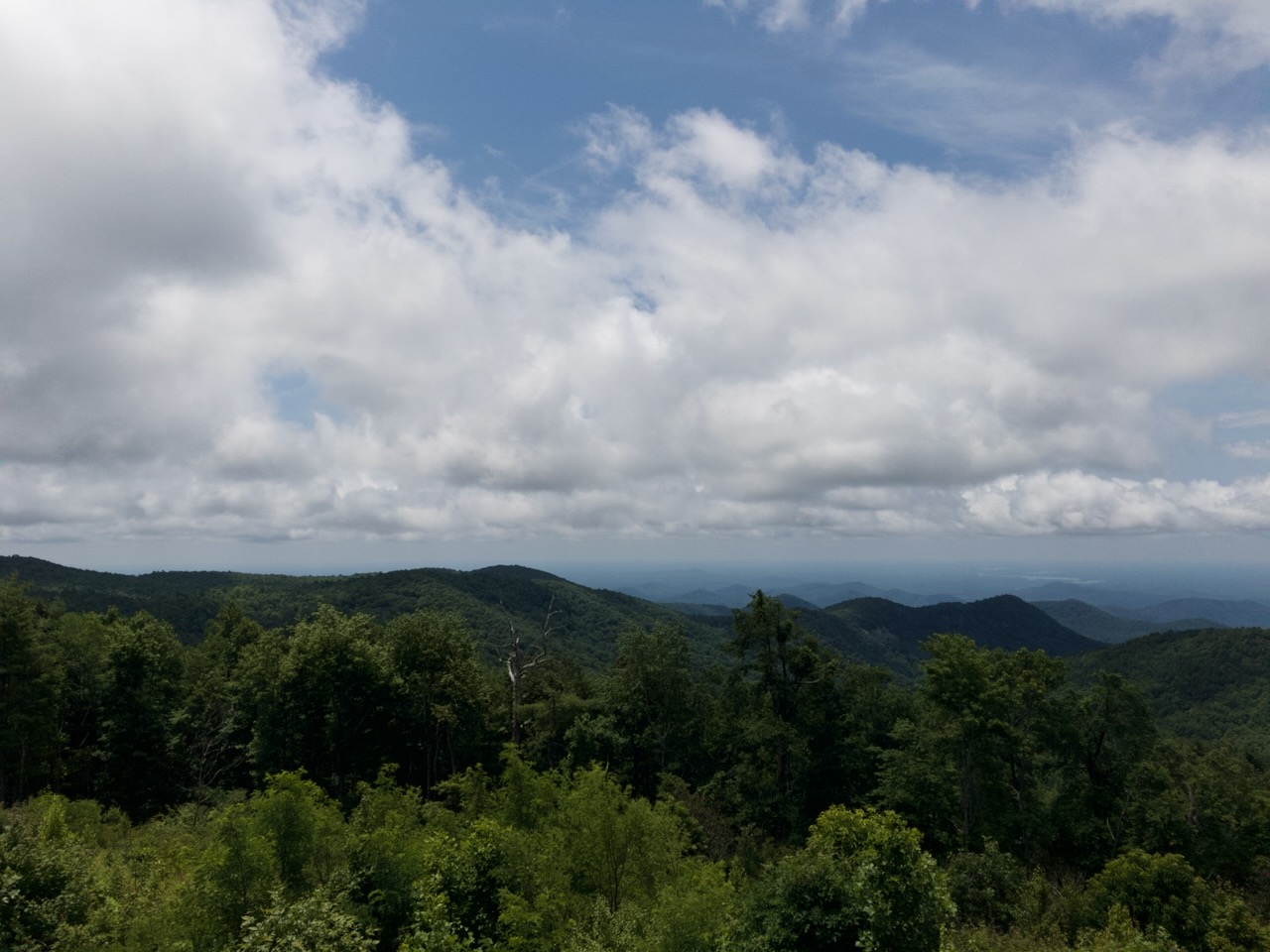 Sassafras Mountain