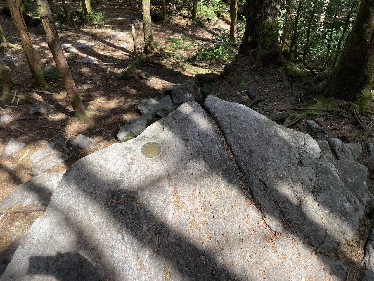 Mount Rogers